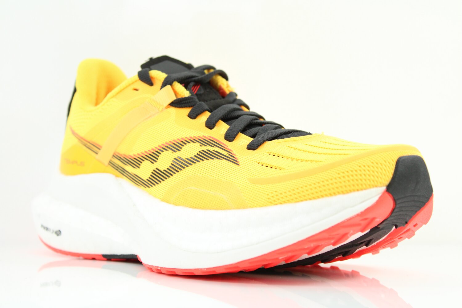 SALE Frank Sport